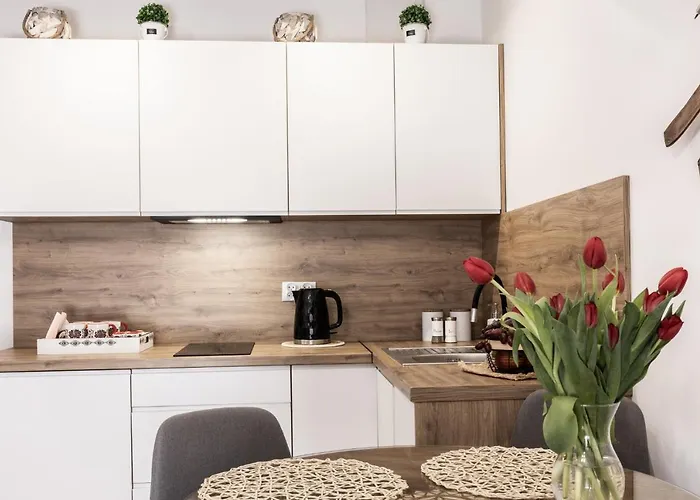 Nosal 2 Droga Na Bystre * ザコパネ